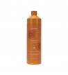 Shampoo hair with argan oil Echosline 1000ml